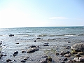 Western Michigan [2010] 807